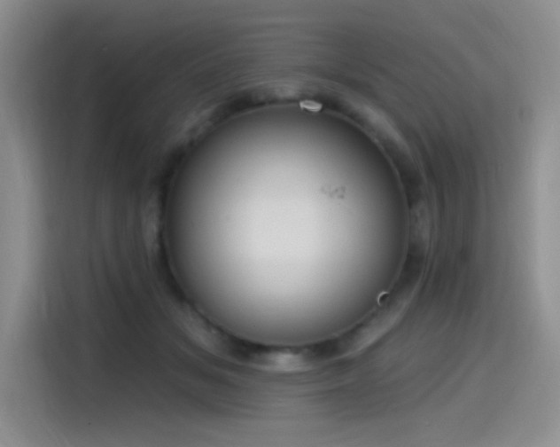 X0000115650509200911171445