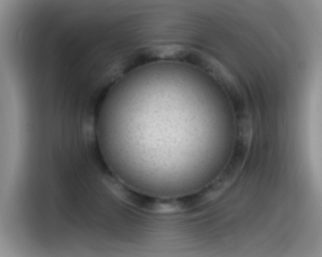 X0000115650510200911171445