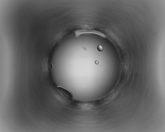 X0000115650512200911171445