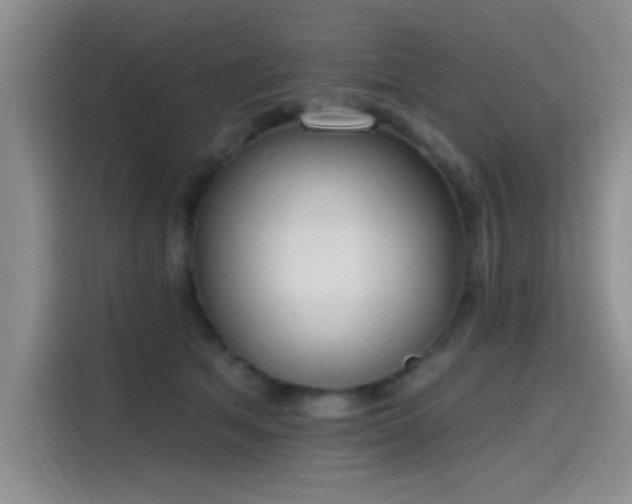 X0000115650513200911171445