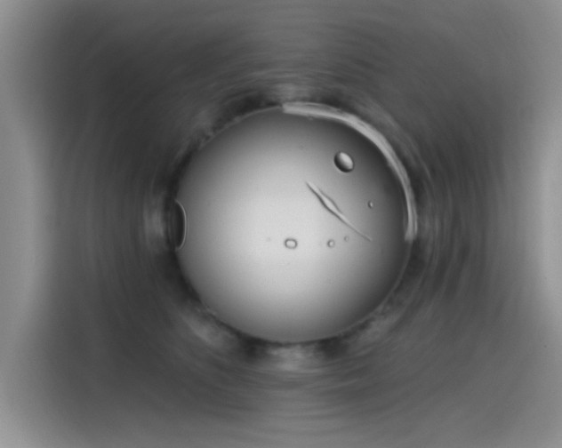 X0000115650516200911171445