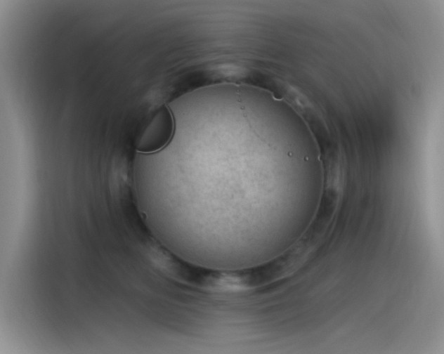 X0000115650518200911171445