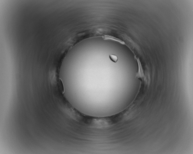 X0000115650520200911171445