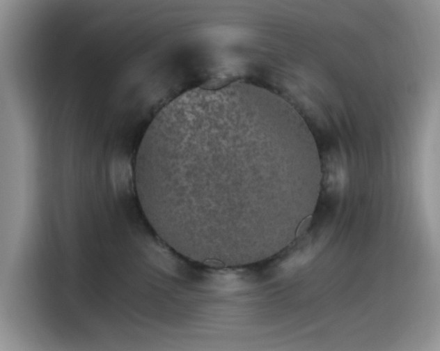 X0000115650523200911171445