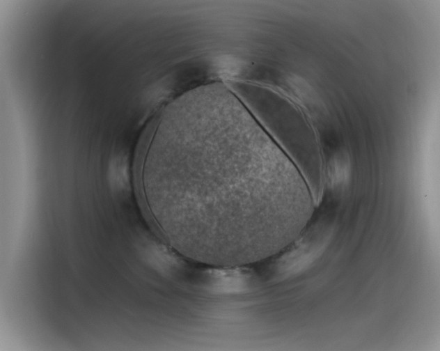 X0000115650524200911171445