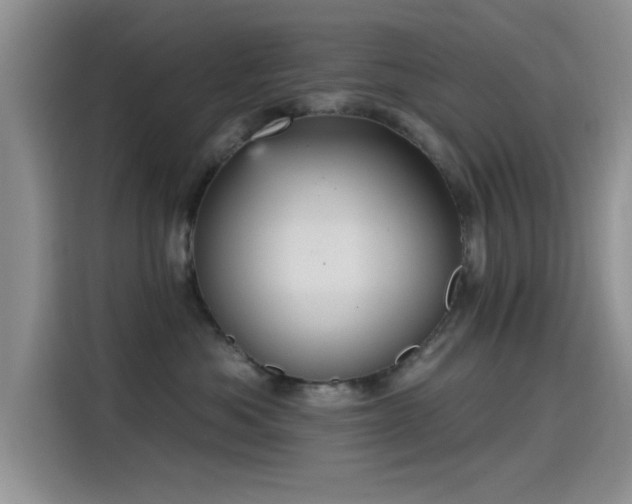 X0000115650525200911171445