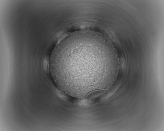 X0000115650527200911171445