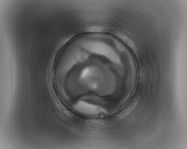 X0000115650529200911171444