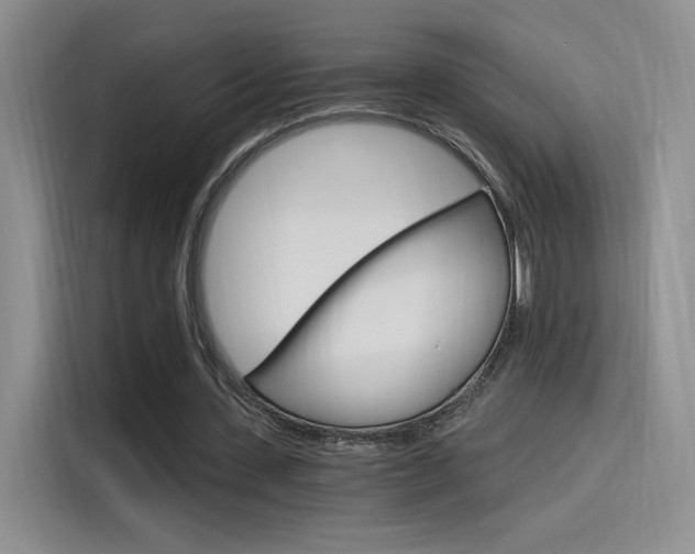 X0000115650531200911171444