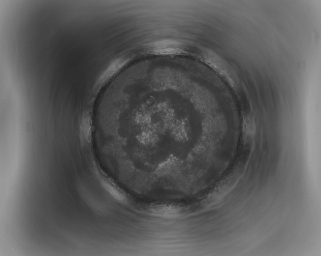 X0000115650533200911171444