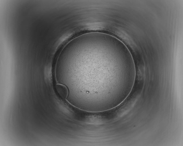 X0000115650535200911171444