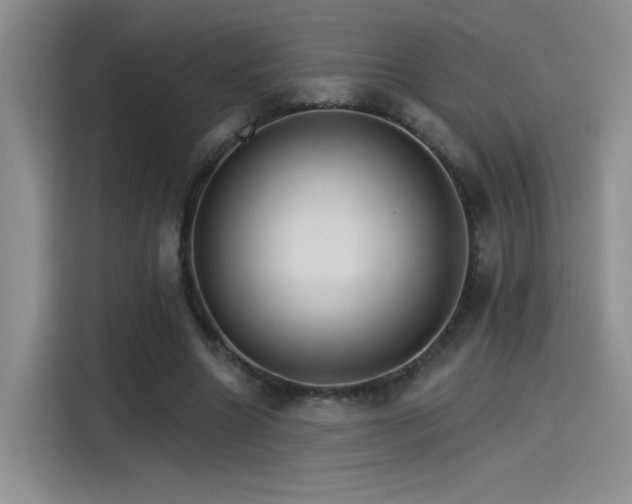 X0000115650538200911171444