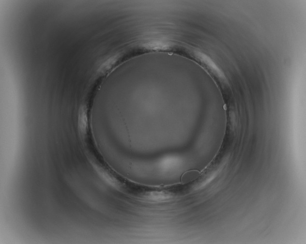 X0000115650541200911171444