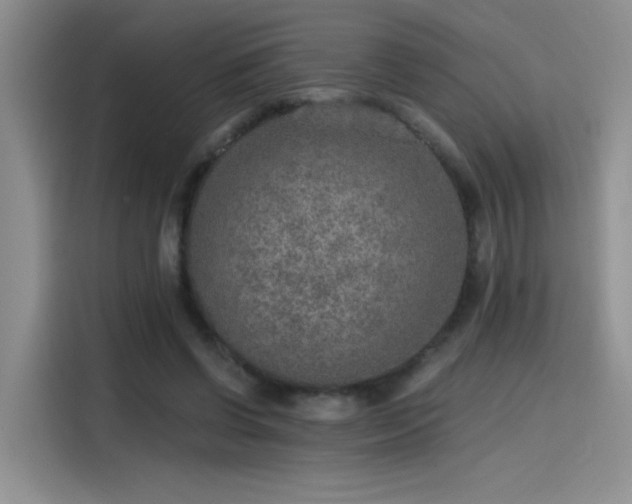 X0000115650542200911171444