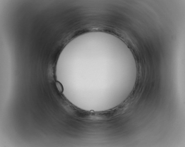 X0000115650545200911171444