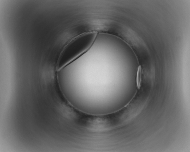 X0000115650546200911171444