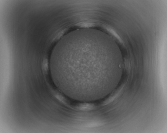 X0000115650549200911171444