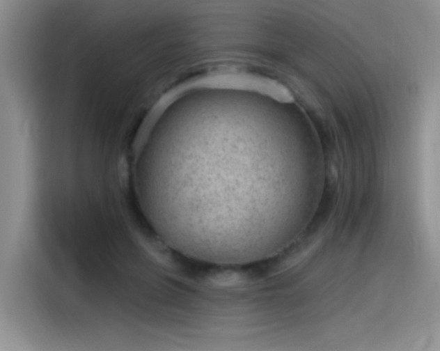 X0000115650551200911171444