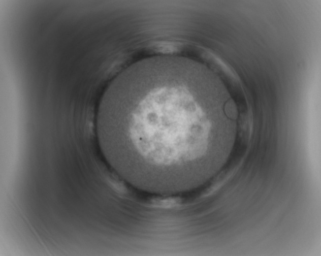 X0000115650553200911171444