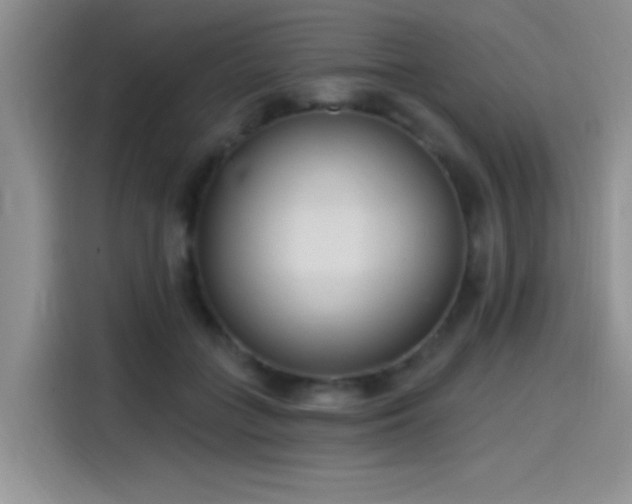 X0000115650555200911171444