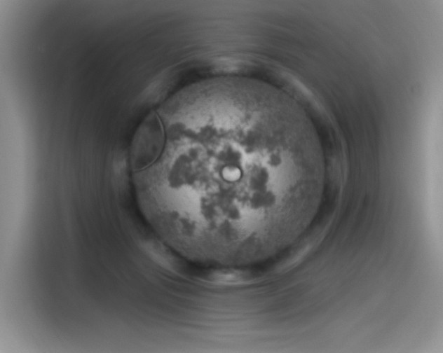 X0000115650557200911171445