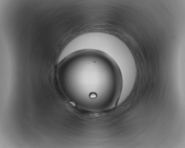 X0000115650558200911171445