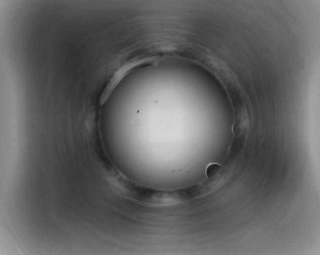 X0000115650559200911171445