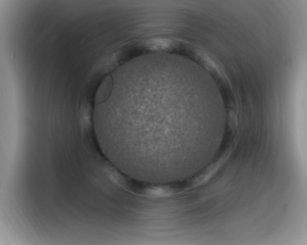 X0000115650561200911171445