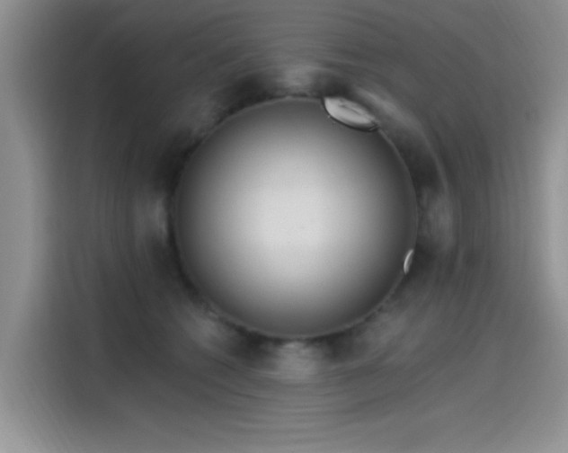 X0000115650562200911171445