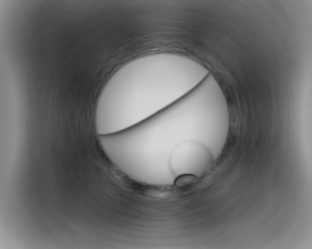 X0000115650563200911171445