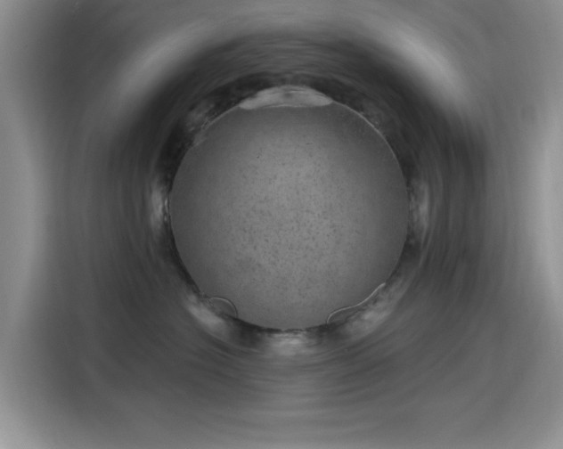 X0000115650574200911171445