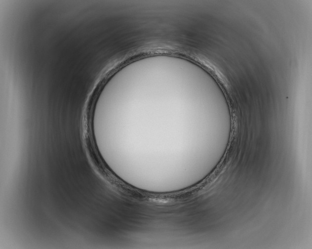 X0000115650582200911171444