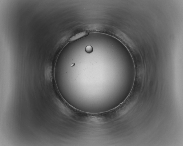 X0000115650585200911171444