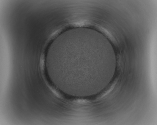 X0000115650590200911171444