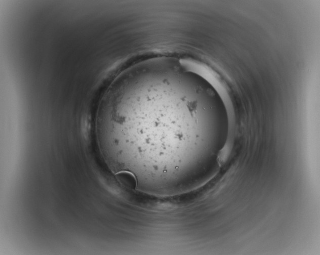 X0000115650592200911171444