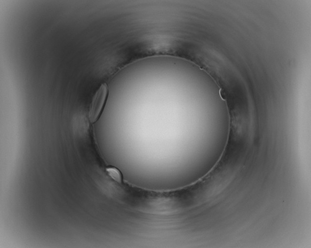 X0000115650593200911171444