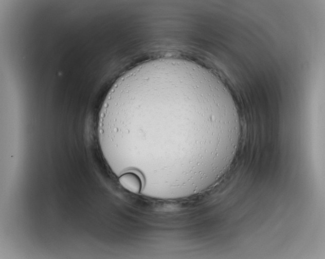 X0000115650594200911171444