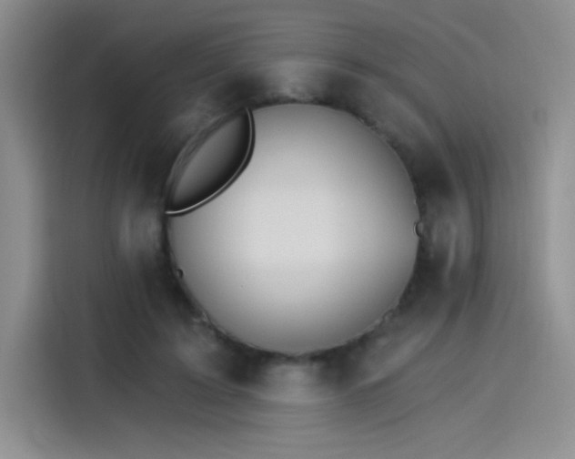 X0000115650595200911171444