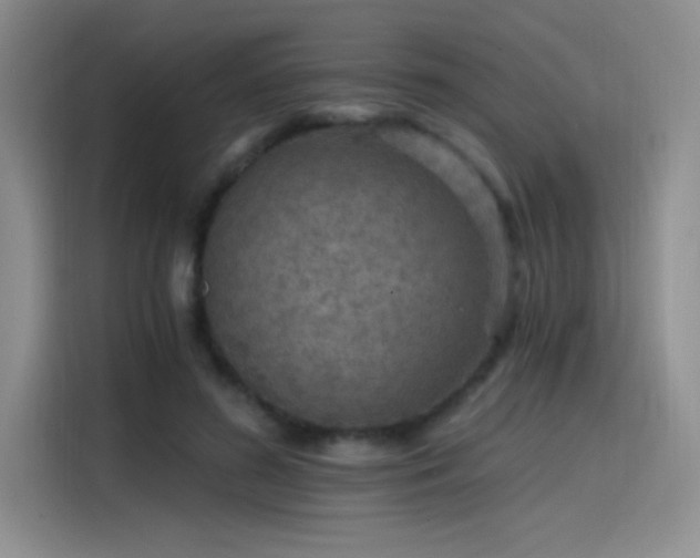 X0000115650596200911171444