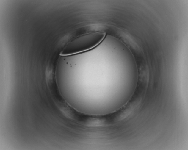 X0000115650597200911171444