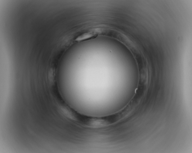 X0000115650605200911171444