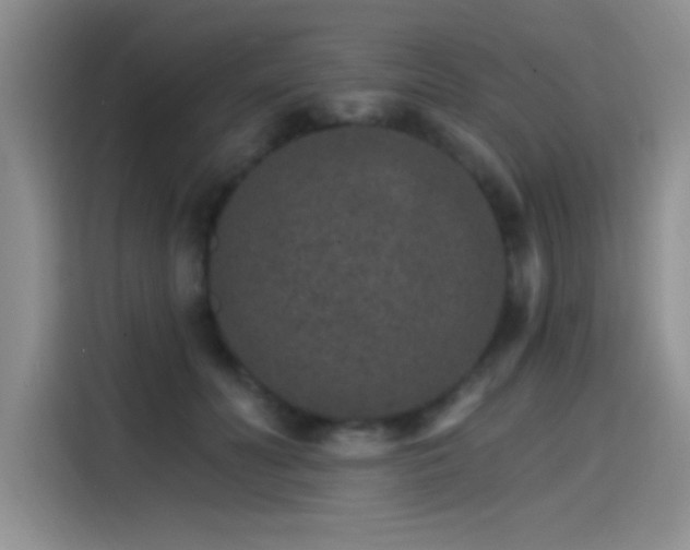 X0000115650606200911171444