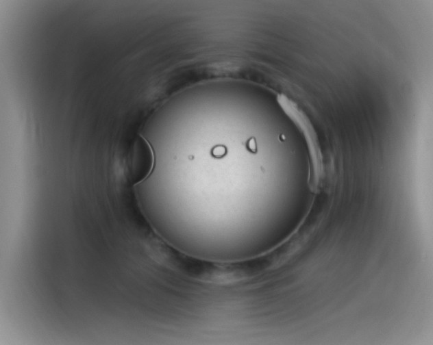 X0000115650608200911171444