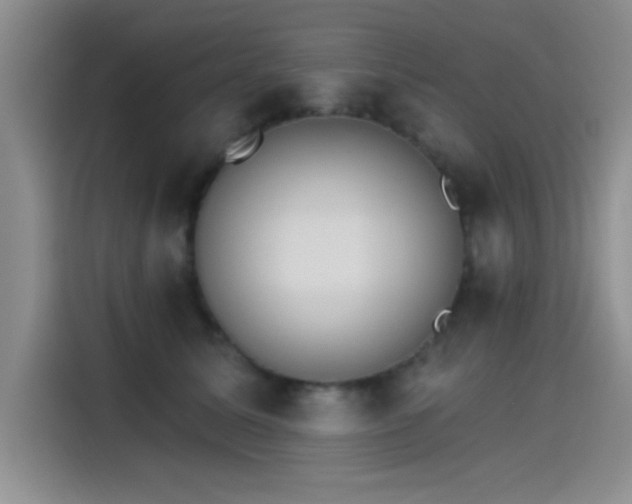 X0000115650611200911171444