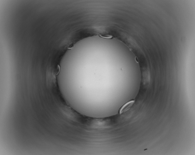 X0000115650613200911171444