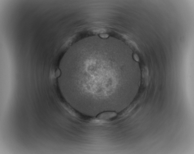 X0000115650614200911171444