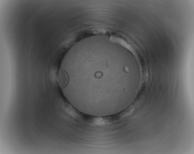 X0000115650616200911171444