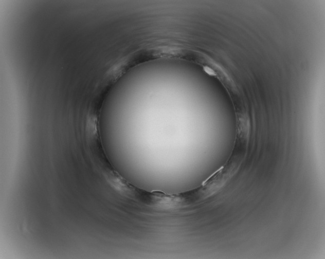 X0000115650621200911171444