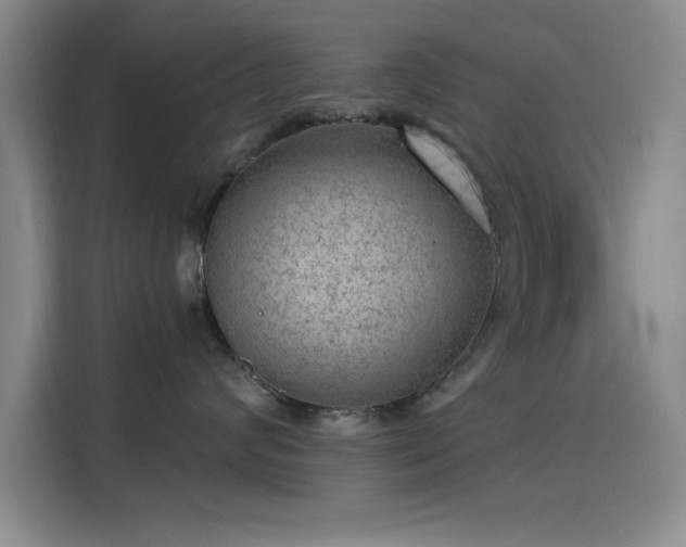 X0000115650624200911171444