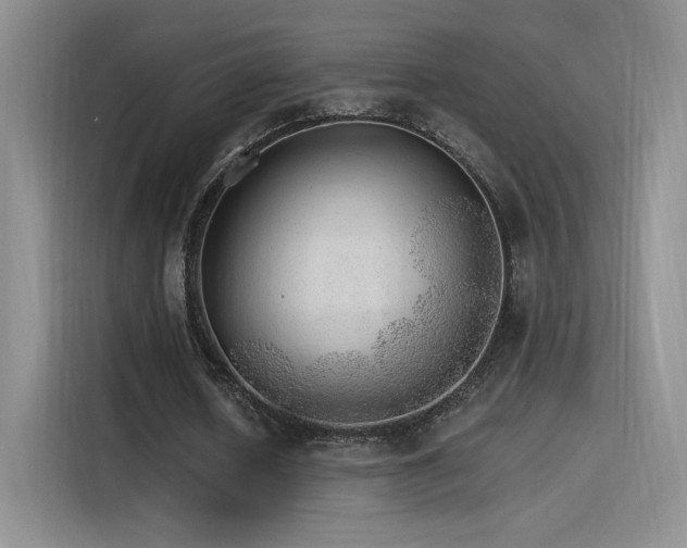 X0000115650626200911171443